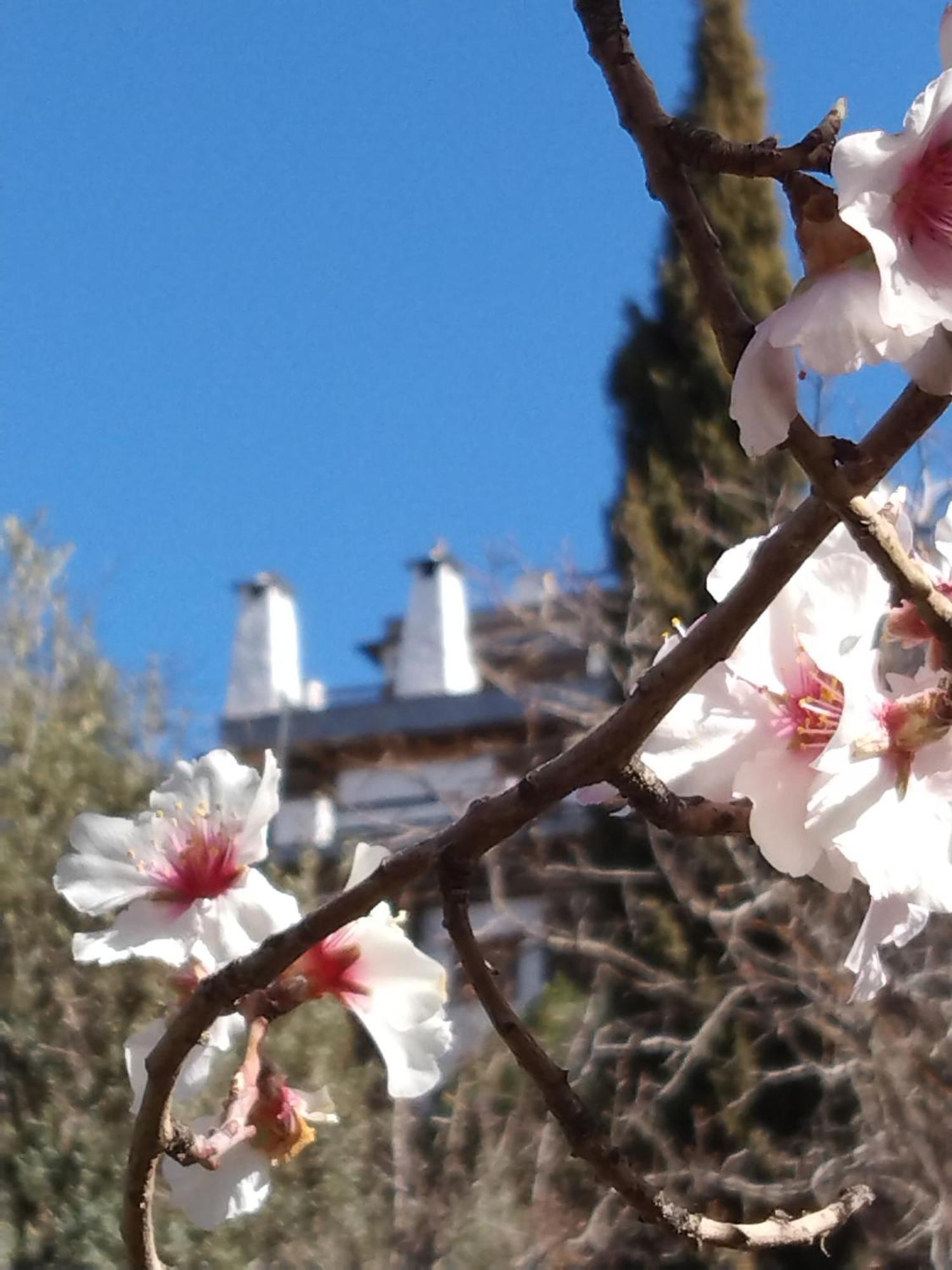 La Posada Del Altozano Lanteira Kültér fotó